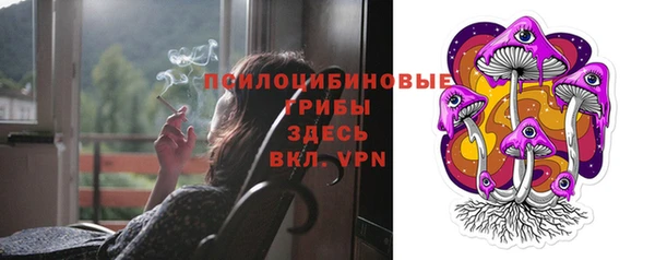 дмт Переславль-Залесский