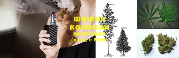дмт Переславль-Залесский