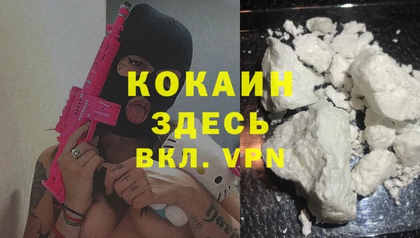 прущие грибы Покровск