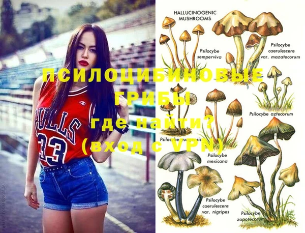 кокс Пересвет