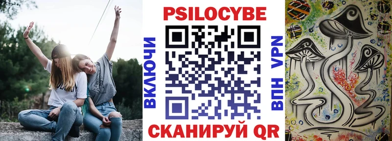Псилоцибиновые грибы Psilocybe  наркотики  Бавлы 